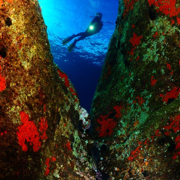 Immersione il Canyon | Catania