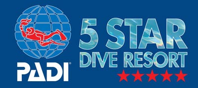 dive catania padi5